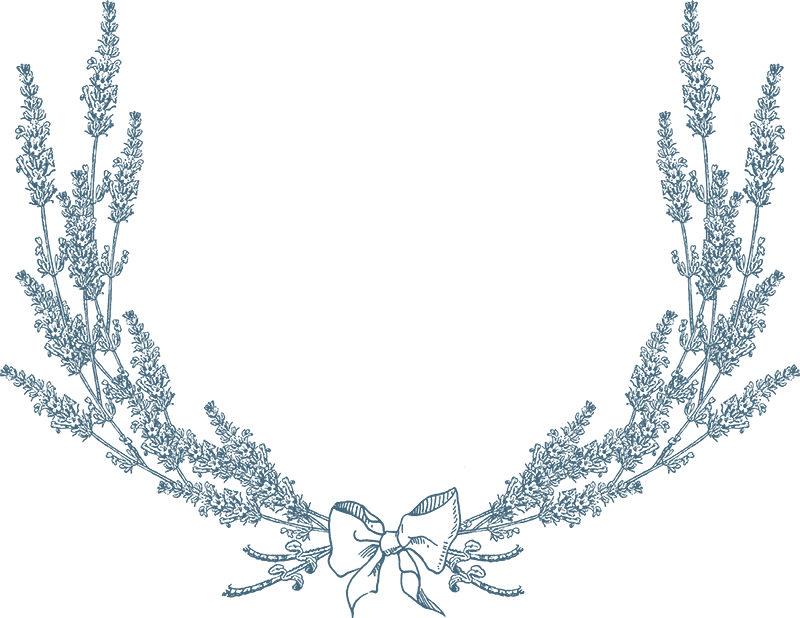 Lavanda